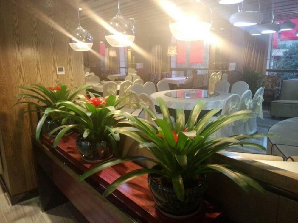 Chengdu Hello Hotel CTU Dış mekan fotoğraf